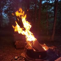 Frontier Bar & Campground ico