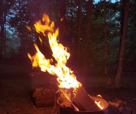 Frontier Bar & Campground