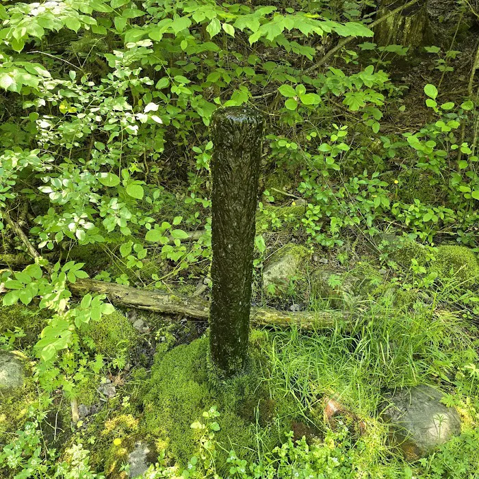 Prentice Park City Campground Picture 9