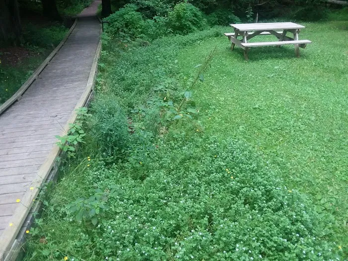 Prentice Park City Campground Picture 10