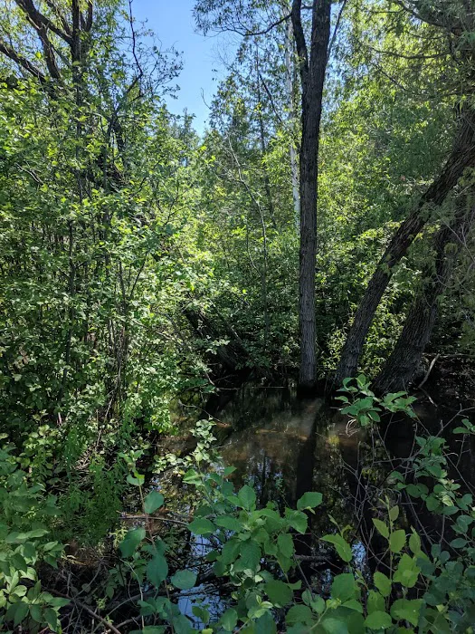 Prentice Park City Campground Picture 4