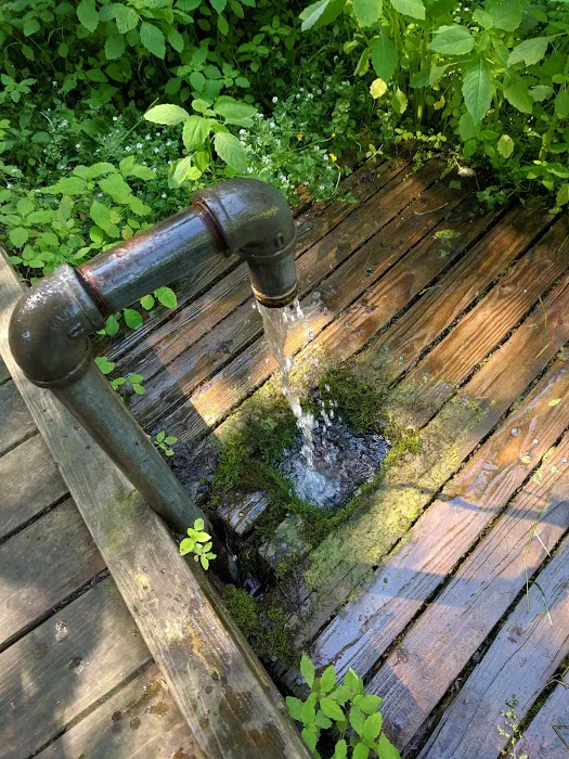 Prentice Park City Campground Picture 3