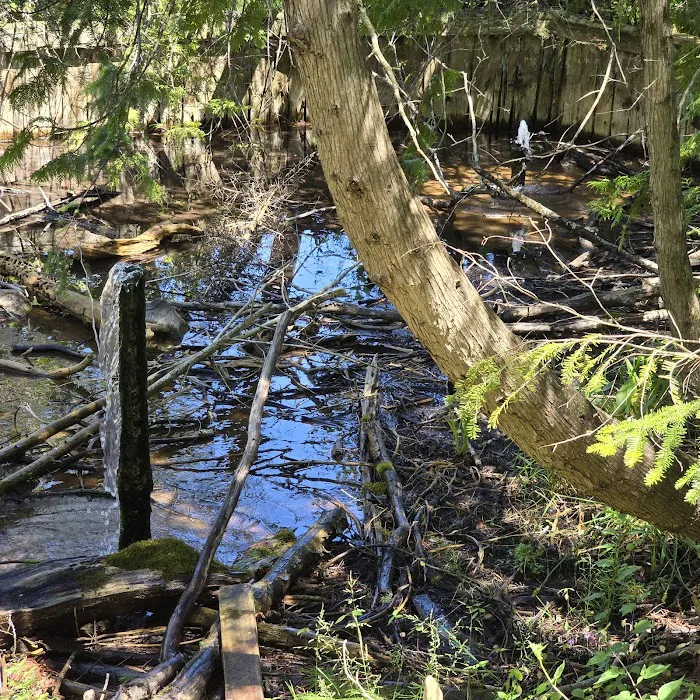 Prentice Park City Campground Picture 8