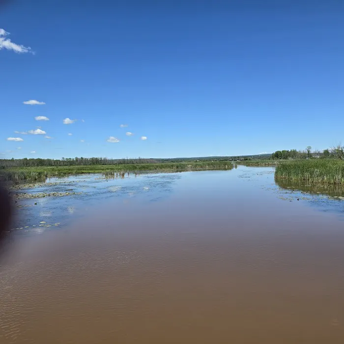 Prentice Park City Campground Picture 2