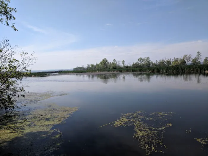 Prentice Park City Campground Picture 5