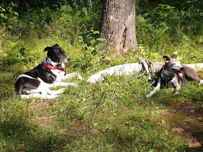 The Lodge at Little Girl's Point Picture 8