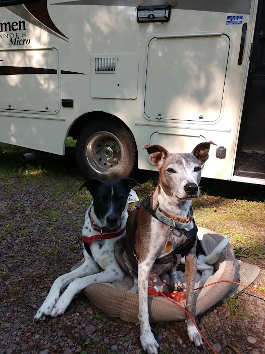 The Lodge at Little Girl's Point Picture 5