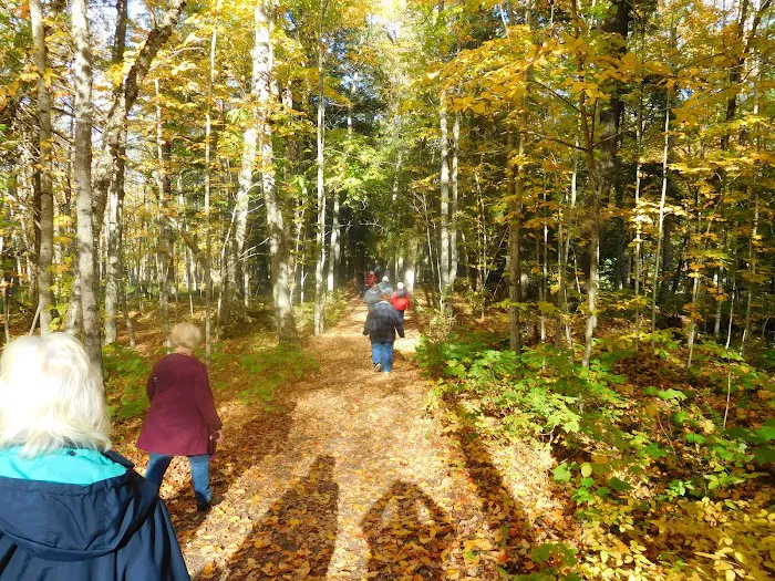 Black River Harbor Campground Picture 9