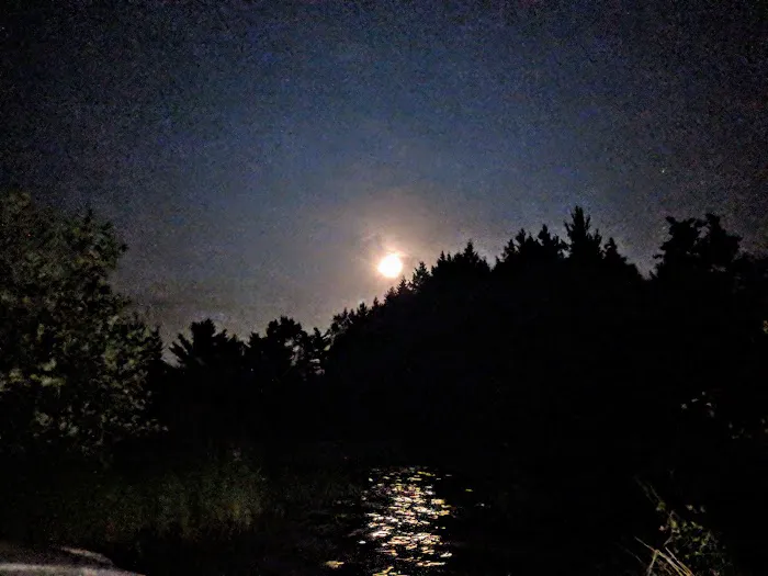 Pine Campground Picture 3