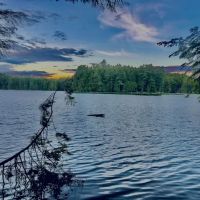 Bobcat Campground ico