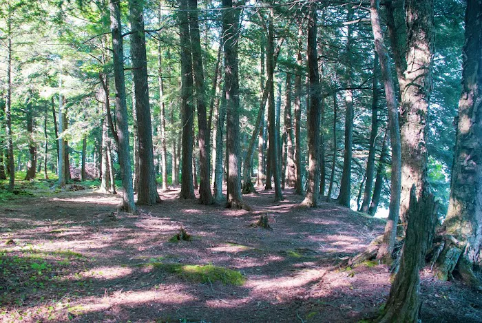 Cedar Campground Picture 3