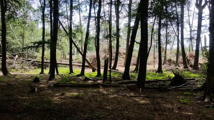 Balsam Campground Picture 3