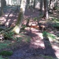 Balsam Campground ico