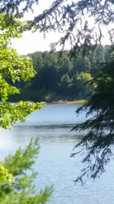 Balsam Campground Picture 7