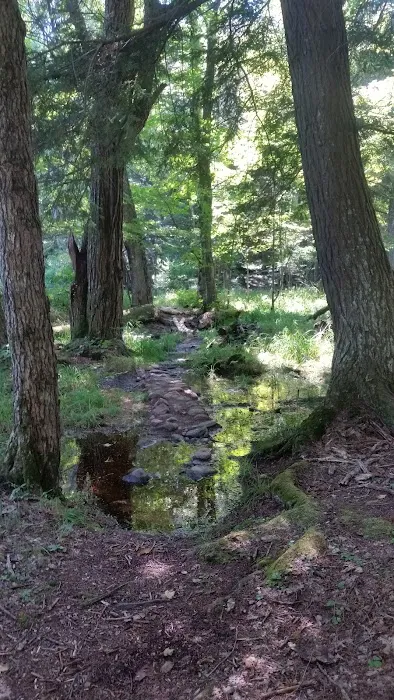 Balsam Campground Picture 9