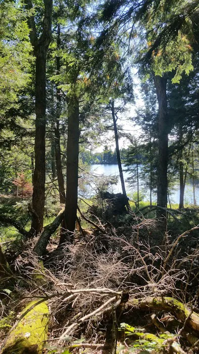 Balsam Campground Picture 6