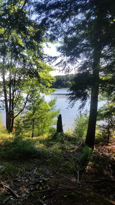 Balsam Campground Picture 4