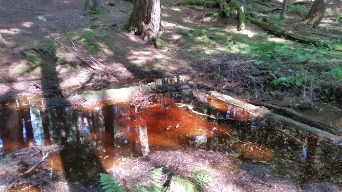 Balsam Campground Picture 5