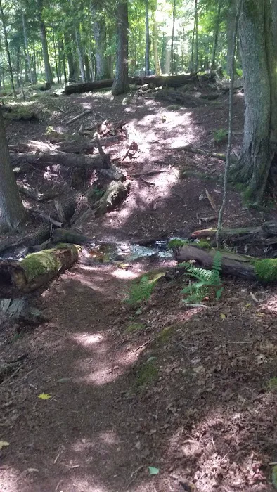 Balsam Campground Picture 8