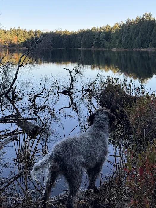 Sylvania Campground Picture 5