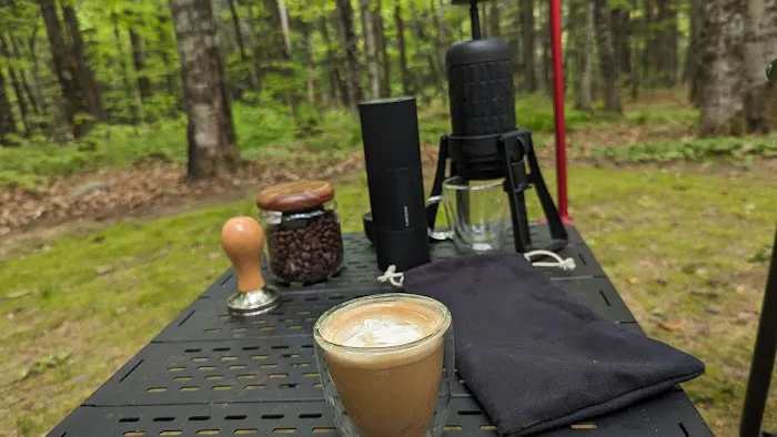 Sylvania Campground Picture 8