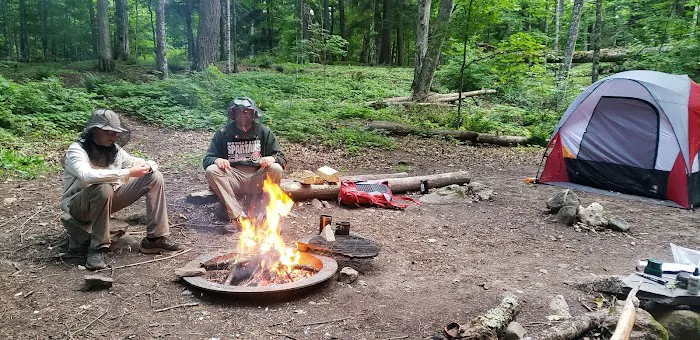 Sylvania Campground Picture 6