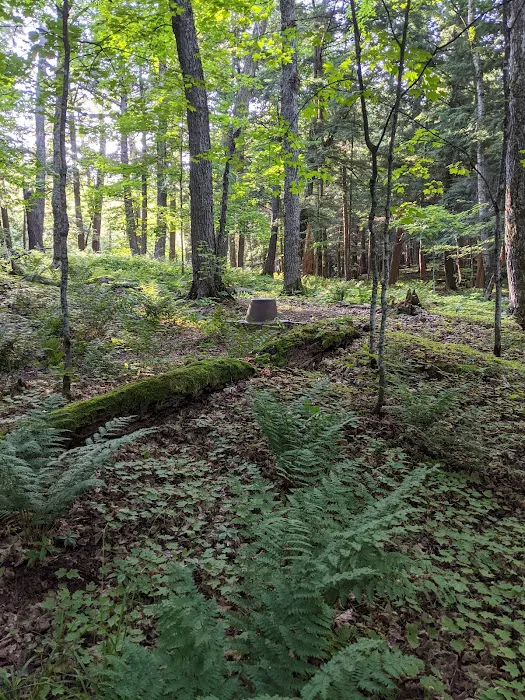 Porcupine Campground 2 Picture 7