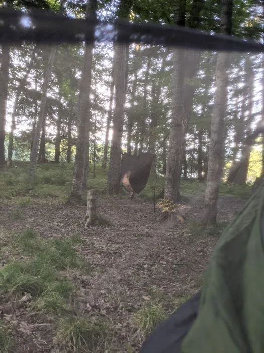 Porcupine Campground 2 Picture 4