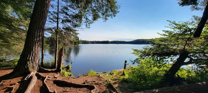 Porcupine Campground 2 Picture 1