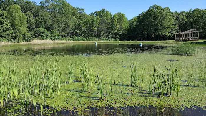 Camp Millhouser Picture 3