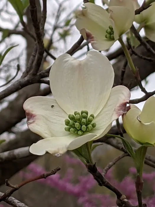 Four Seasons POA Owner Campground- Private Picture 7