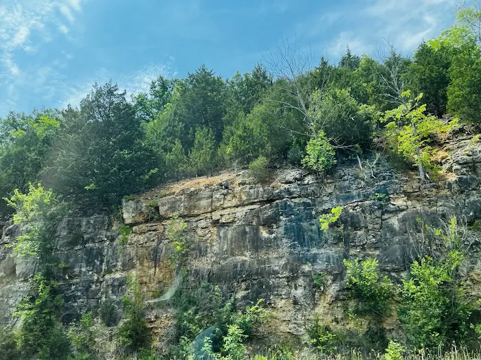 Lake of the Ozarks State Park Campgrounds Picture 9