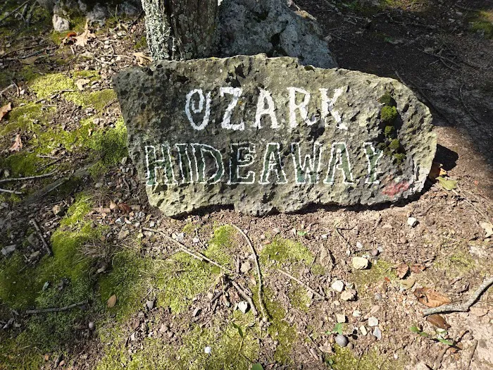 Ozark Hideaway Cabin Picture 5