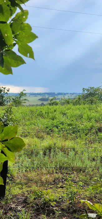 Ozark Hideaway Cabin Picture 2