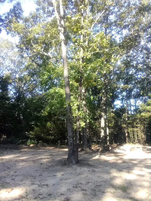 Spot on Top Campgrounds Picture 9