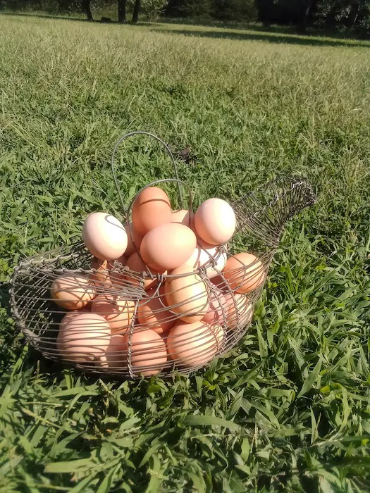 Spot on Top Campgrounds Picture 5