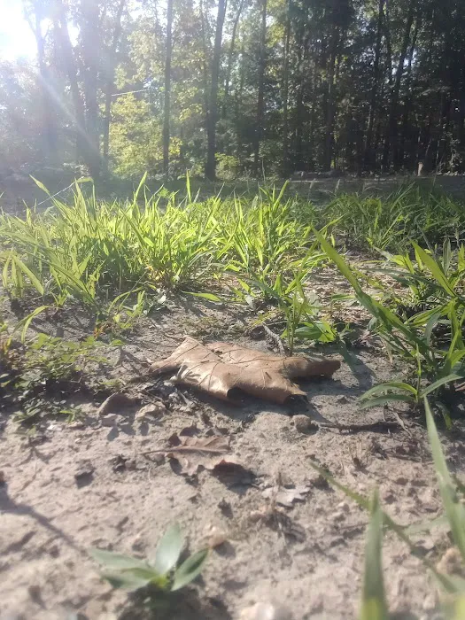 Spot on Top Campgrounds Picture 10