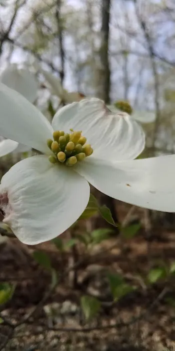 Spot on Top Campgrounds Picture 6