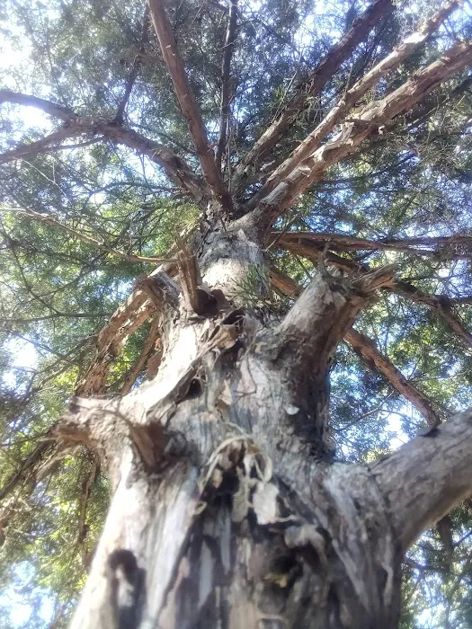 Spot on Top Campgrounds Picture 3