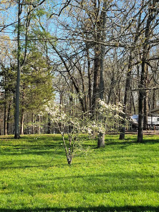 Cranfield Campground Picture 7