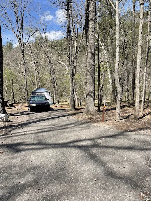 Blanchard Springs Campground Picture 5