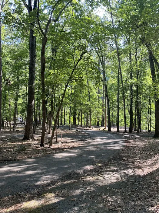 Blanchard Springs Campground Picture 8