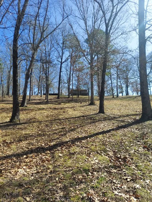 Morgan Mountain Retreat Picture 6