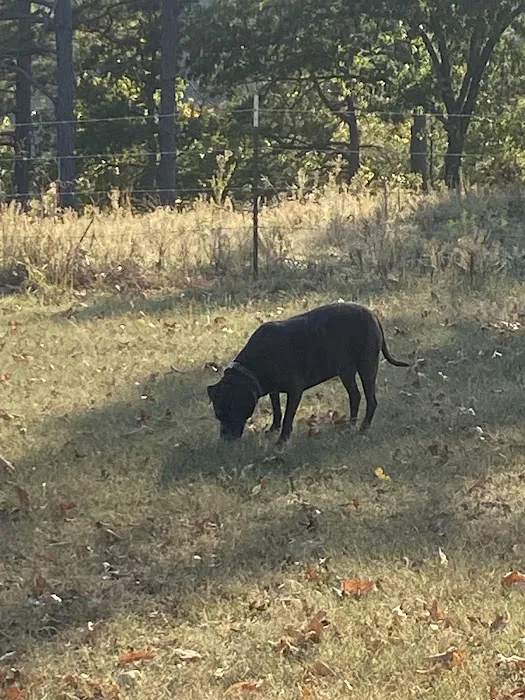 Happy Hippie Hollow Picture 7