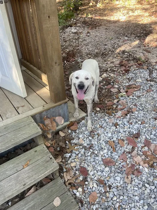 Happy Hippie Hollow Picture 9