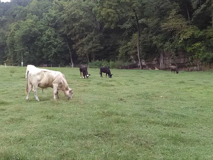 ropers campground, LLC Picture 4