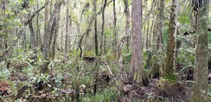 Fort Drum Marsh Conservation Area Group Camping Picture 3