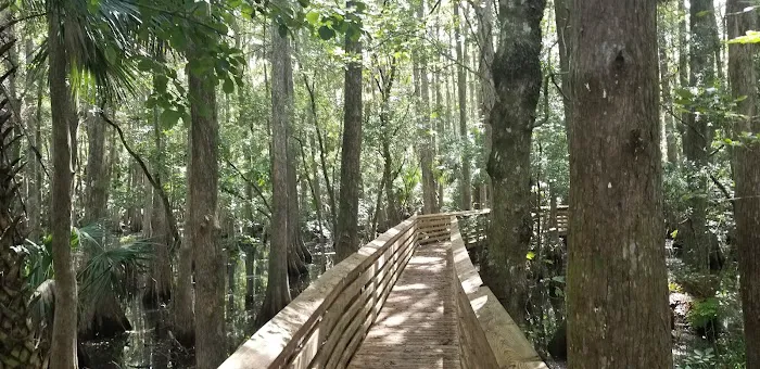 Fort Drum Marsh Conservation Area Group Camping Picture 2