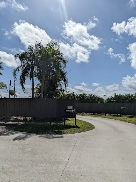 Sunnier Palms Nudist Park and Campground Picture 1