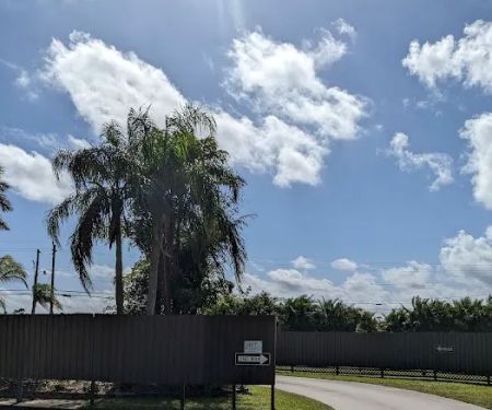 Sunnier Palms Nudist Park and Campground
